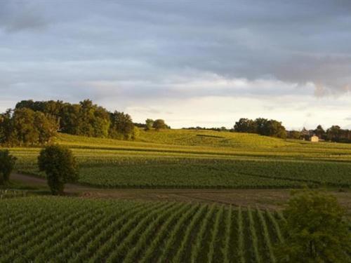 Château La Rose Perriere Lussac  Eksteriør billede